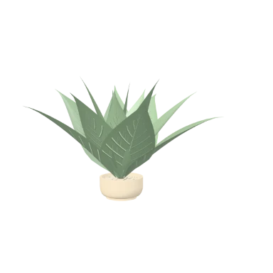 Aloe in a small bowl in 3D