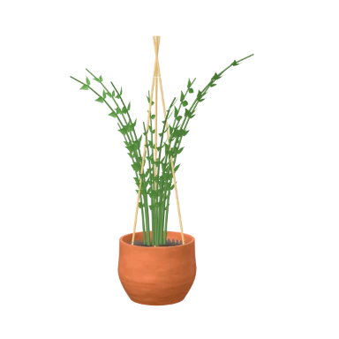 Boston fern in a hanging pot in 3D