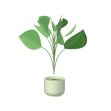 Calathea on a shelf in 3D