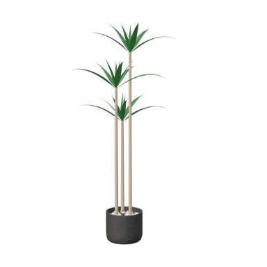 Dragon tree in black concrete in 3D