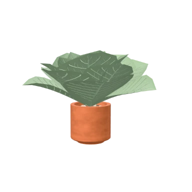 Echeveria in a P9 pot in 3D