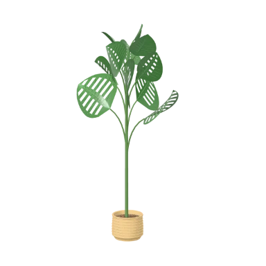 Monstera in a woven basket in 3D