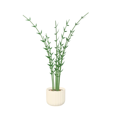 Parlour palm, ribbed stoneware in 3D