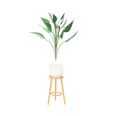 Peace lily on a plant stand in 3D