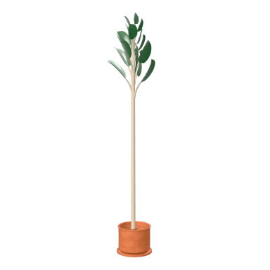 Rubber plant in terracotta in 3D