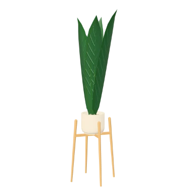 Snake plant on an oak cradle in 3D