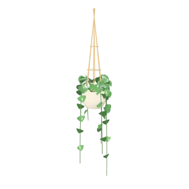 Trailing pothos in macramé in 3D