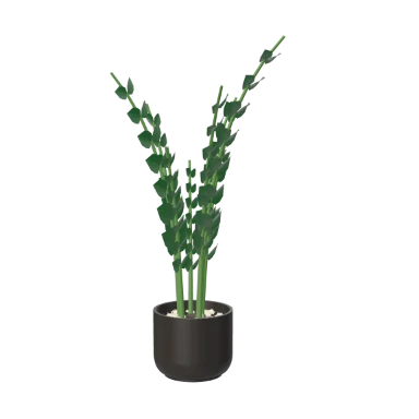 zz plant, matte charcoal in 3D