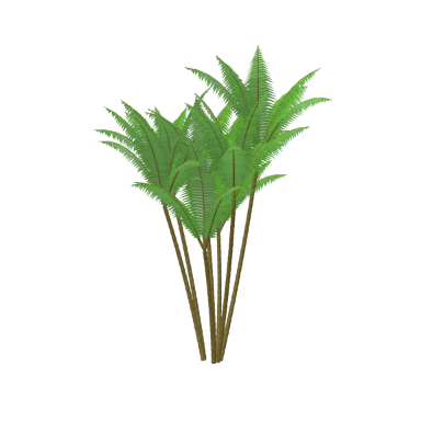 Areca Palm in 3D