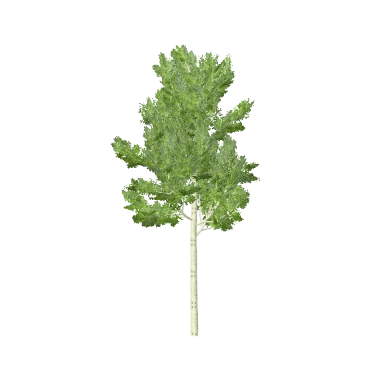 Aspen Small in 3D