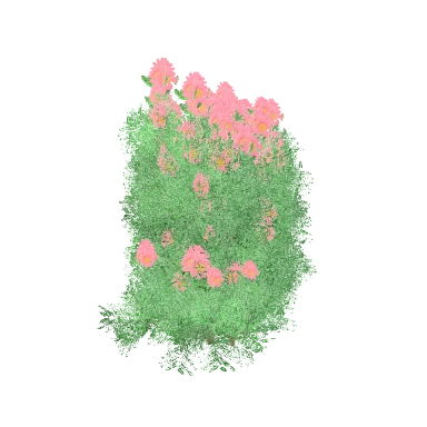 Azalea in 3D