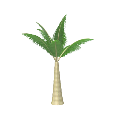 Bottle Palm in 3D