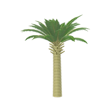 Canary Island Date Palm in 3D