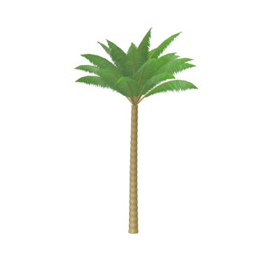 Coconut Palm in 3D