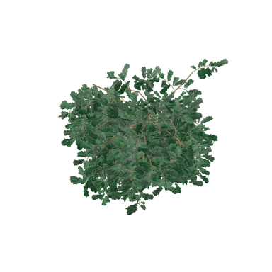 Juniper Spreading in 3D
