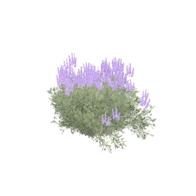 Lavender in 3D