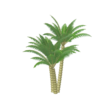 Pygmy Date Palm in 3D