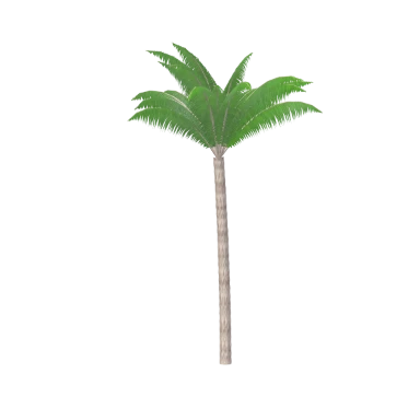 Queen Palm in 3D