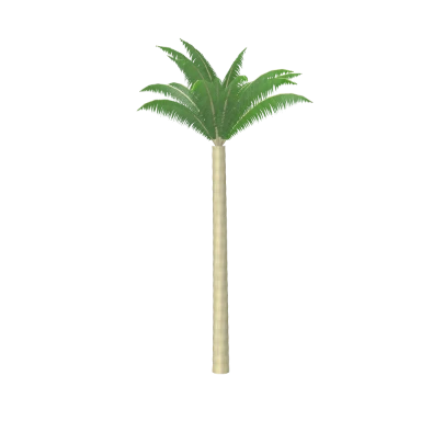 Royal Palm in 3D