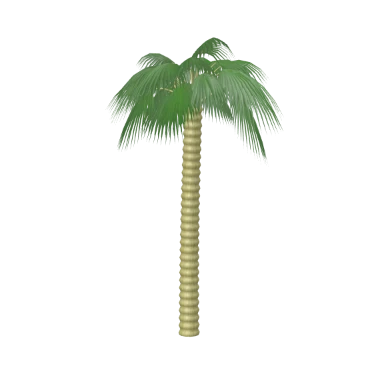 Sabal Palmetto in 3D