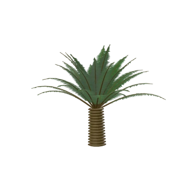 Sago Palm in 3D