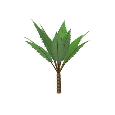 Traveller's Palm in 3D